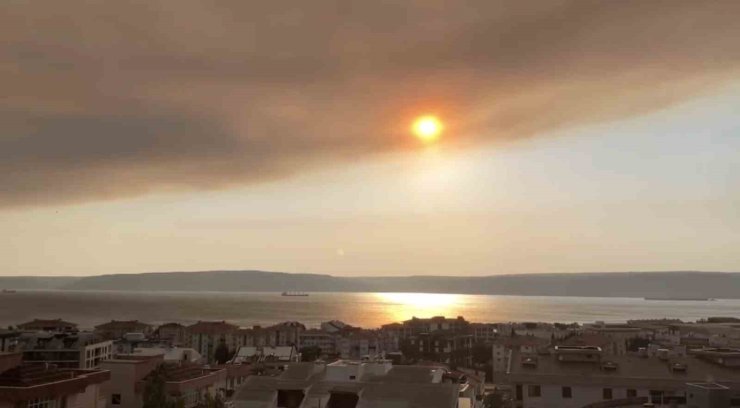 Tekirdağ’daki orman yangınının dumanı Çanakkale Boğazı’nı kapladı