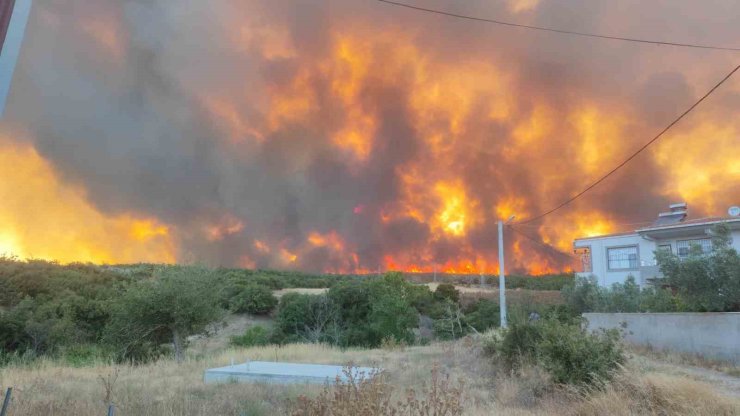 Tekirdağ’daki orman yangını yerleşim alanlarını tehdit ediyor