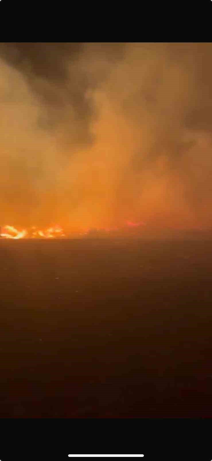 Ayvalık’ta çöp döküm sahasında yangın