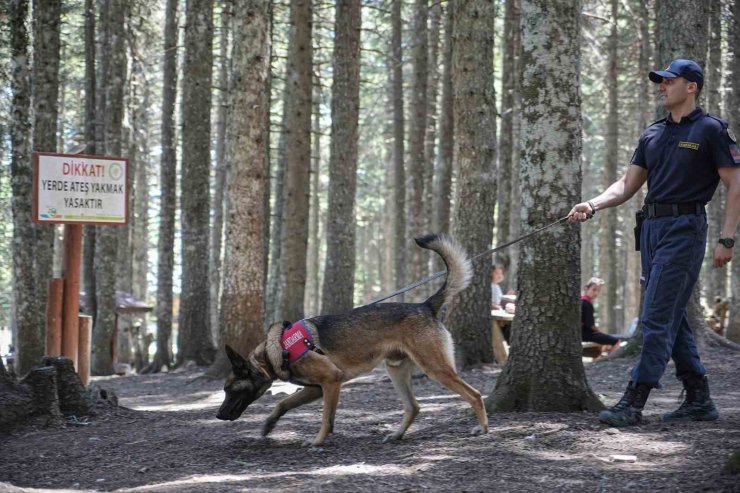 Uludağ’ın ormanlarında jandarmadan 24 saat motorize devriye