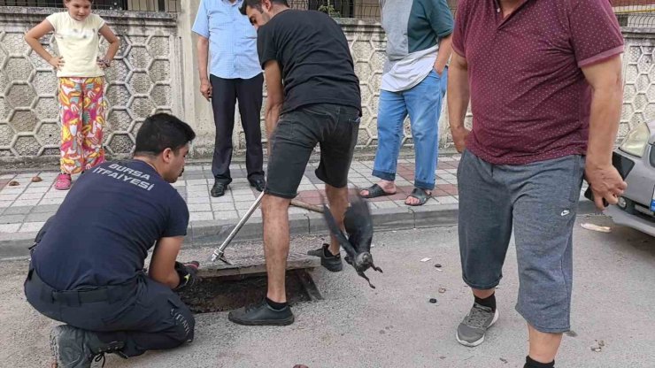 Rögarda mahsur kalan kargayı itfaiye kurtardı