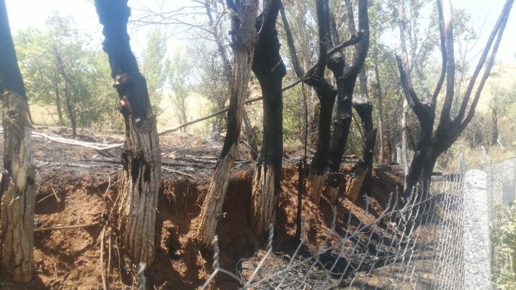 Bir kıvılcımla yangını başlattı, alevlerin büyüdüğünü görünce kaçtı