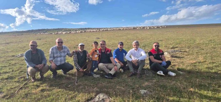 Kars Tarım ve Orman Müdürü Aydın 2 bin 600 rakımlı yaylalarda incelemelerde bulundu