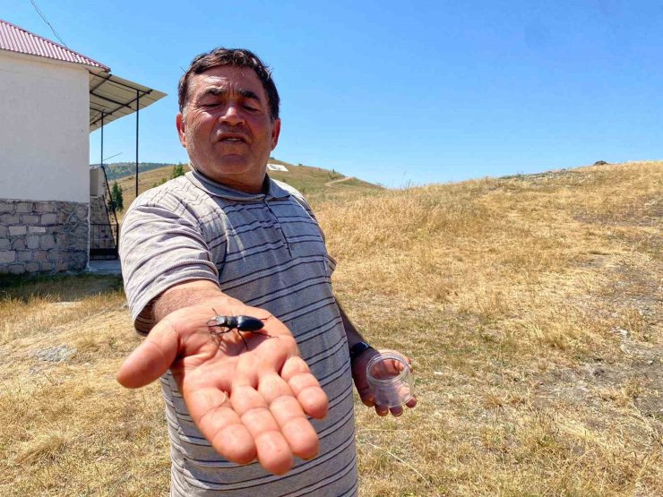 Öldürmenin cezası 557 bin TL, Sivas’ta görüldü