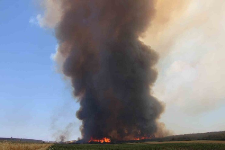 Tekirdağ’da başlayarak Çanakkale’ye ulaşan yangın yeniden alevlendi