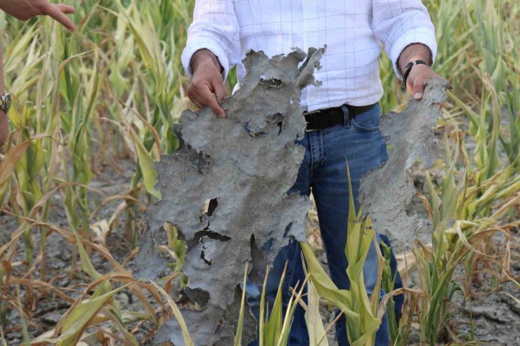 1.6 milyon cezaya çaptırılan Denizli DESKİ günün belli saatlerinde çiftçiye arıtılmamış su vermiş