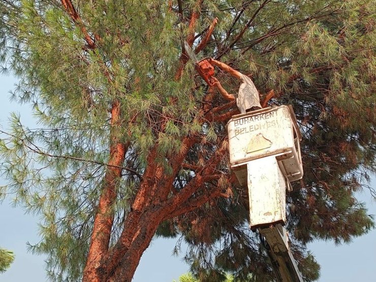 Buharkent Belediyesi’nden anında müdahale