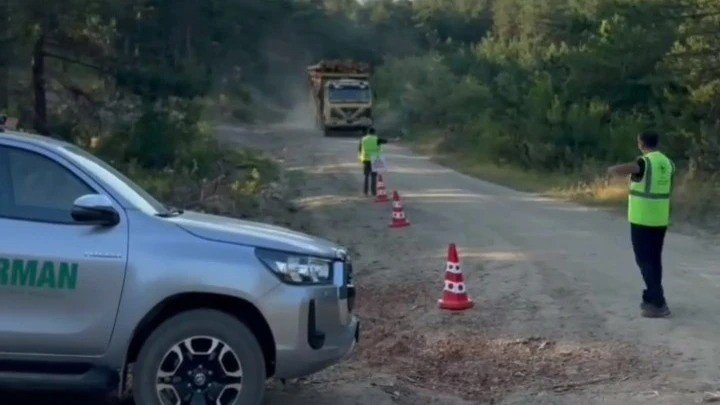 Sinop’ta orman kaçakçılığına karşı sıkı denetim