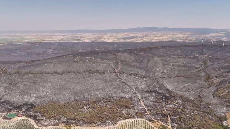 Yangında tahribatın boyutu havadan görüntülendi: Dev alanlar kül oldu