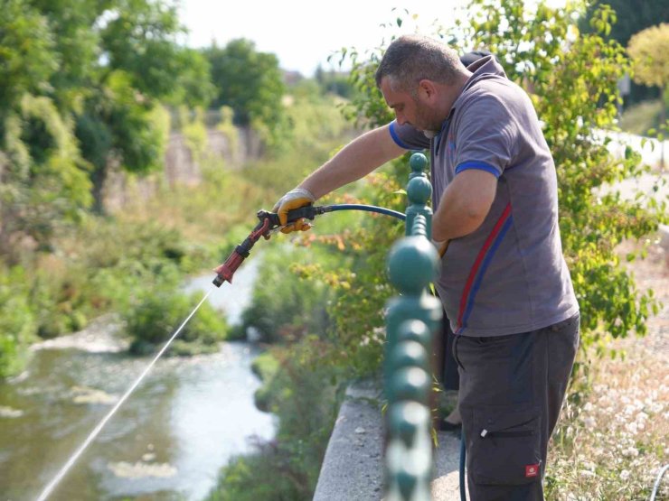 Düzce Belediyesi otluk ve sulak alanlarda ilaçlama çalışmaları yapıyor