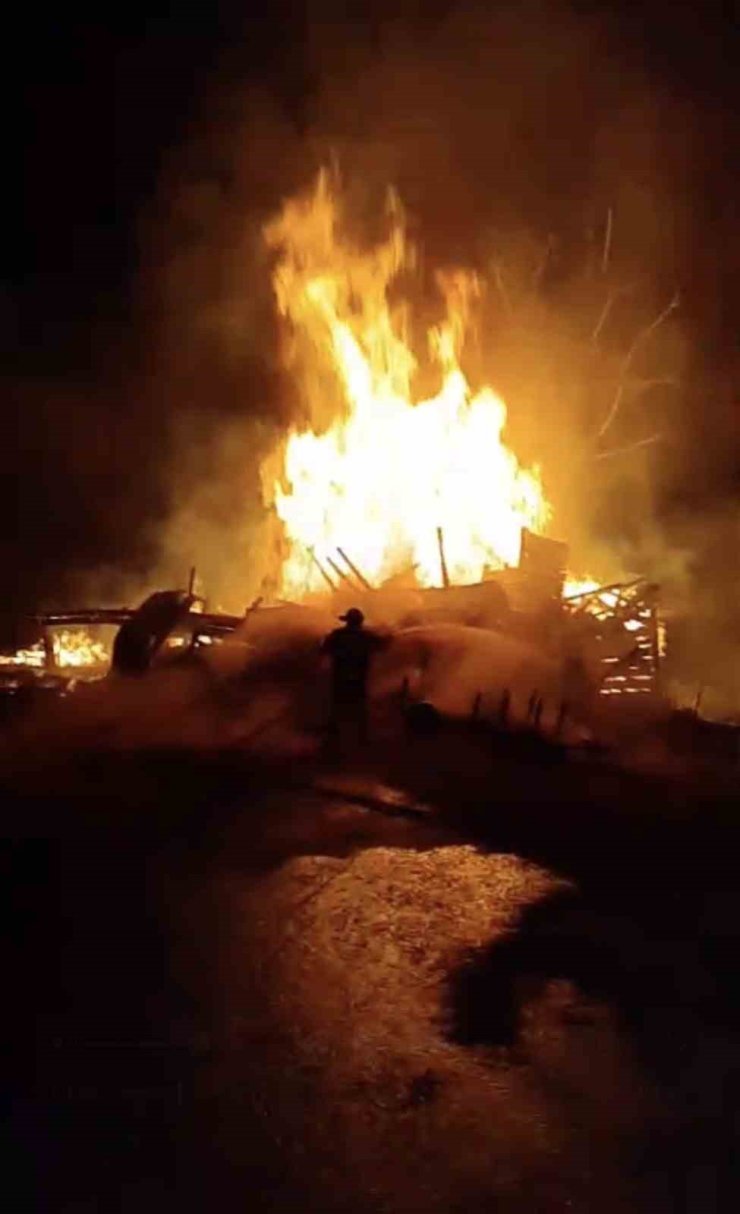 Alevlere teslim olan ev küle döndü