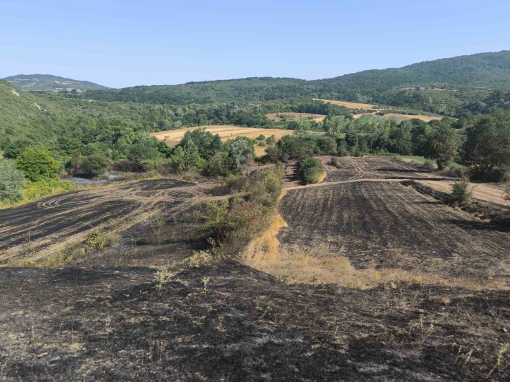 Yangında ekinleri zarar gören çiftçilere gübre ve tohum desteği