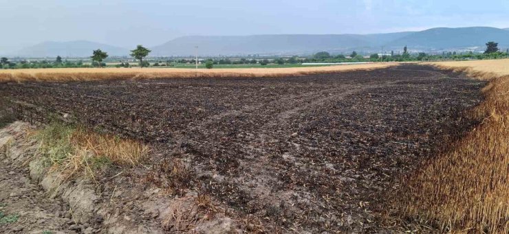 Ekili araziye düşen yıldırım 8 ton buğdayı kül etti