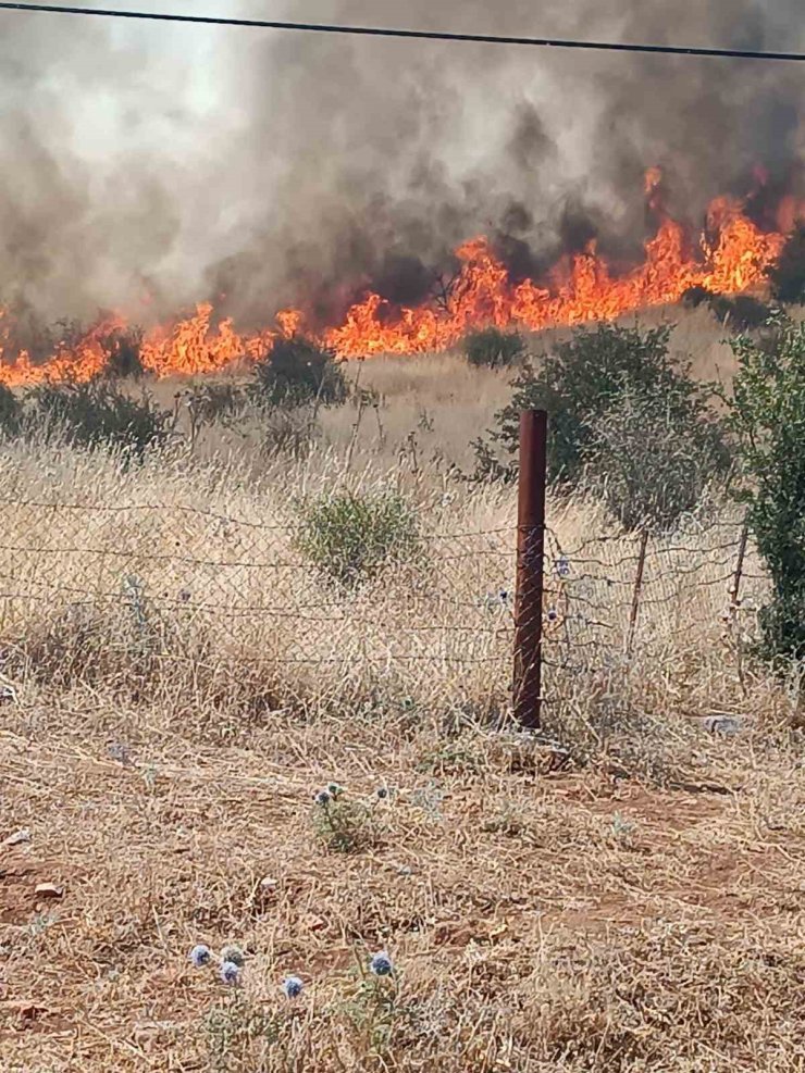 Batman’daki orman yangını kontrol altına alındı