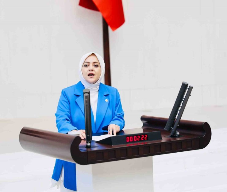 Milletvekili Ün; "Vahşi madencilik kar dışında hiçbir değeri tanımıyor"