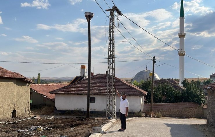 Şiddetli rüzgardan yıkılmıştı, yeniden kurulan yuva misafirlerini bekliyor