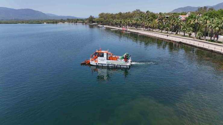 Muğla’nın doğal güzellikleri Büyükşehir eliyle korunuyor