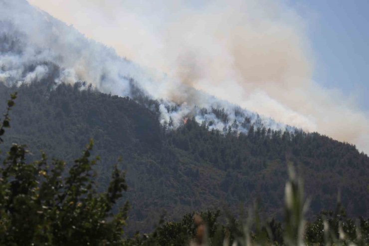 Sakarya’da yangın 24 saattir sürüyor, alevler zaman zaman yeniden yükseliyor