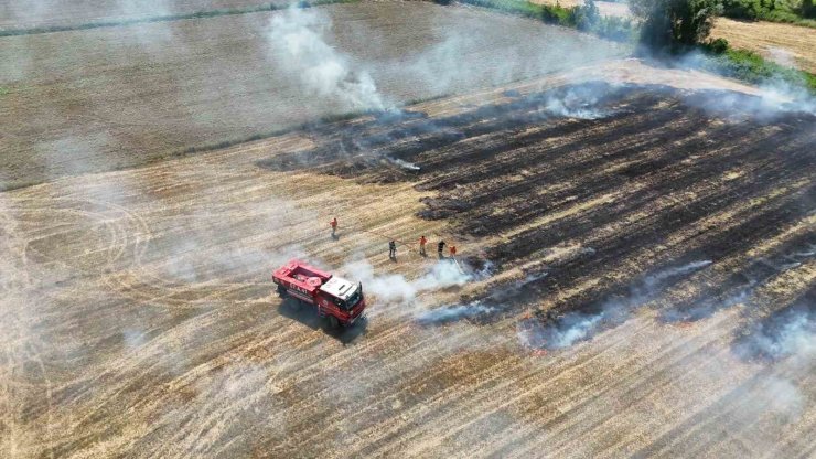 Sinop’ta anız yangını paniği