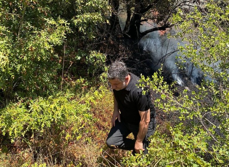 Adapazarı’nda ormanlık alanda yangın çıktı