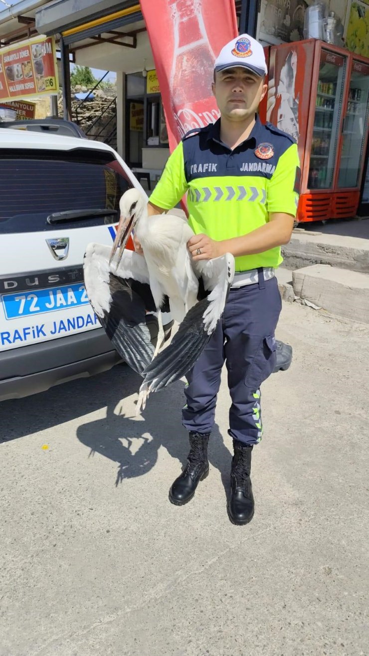 Trafik ekiplerinin radarına yakalanan yaralı leylek tedavi altına alındı