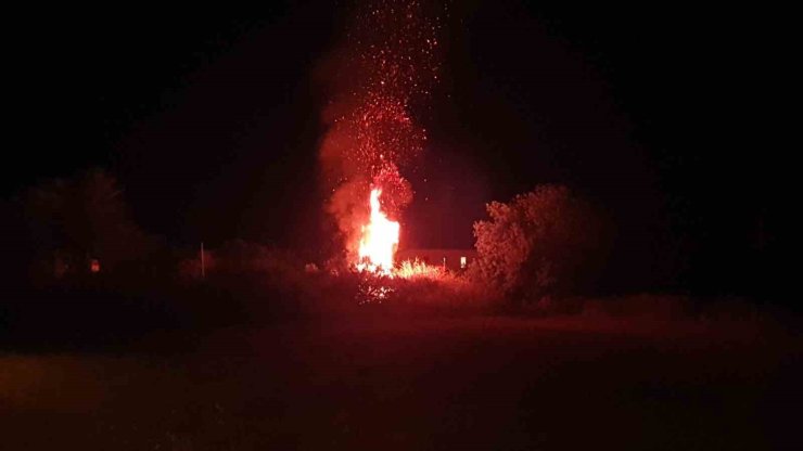 Datça’da otluk alandaki yangın büyümeden söndürüldü