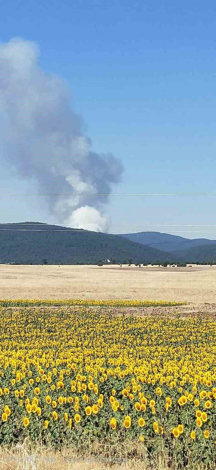 Eskişehir’de orman yangını başladı