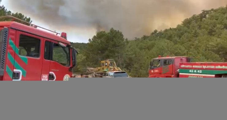 Orman Bölge Müdürü yangının ortasında kaldı