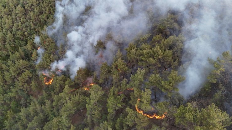 Karabük’te orman yangınına müdahale 6 saattir aralıksız sürüyor