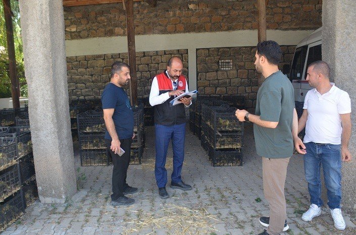 Bulanık’ta "Kaz Yetiştiriciliği" projesi kapsamında kaz palazı dağıtıldı