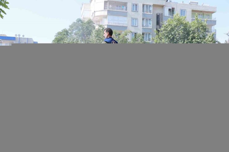 Parklarda yenileme ve güzelleştirme çalışması