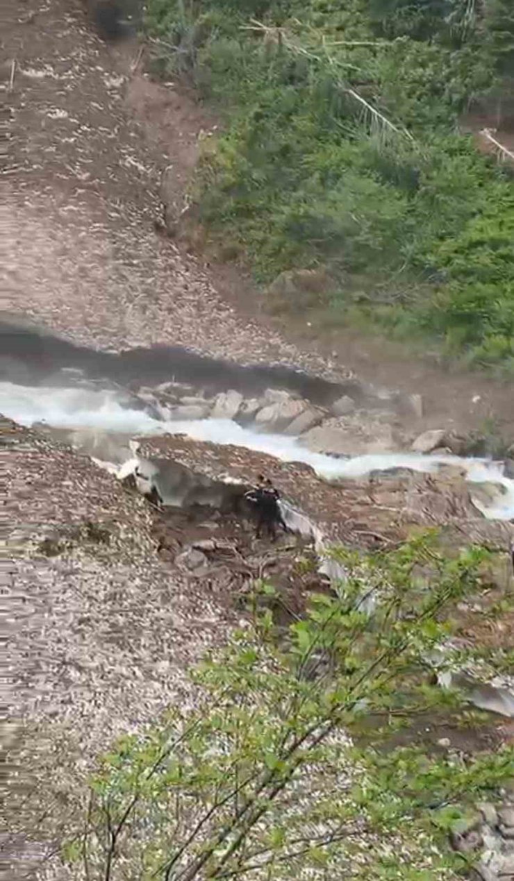 Rize’de Galer Düzü Yaylası’nda kar kütlesi çöktü: Bir kişi aranıyor