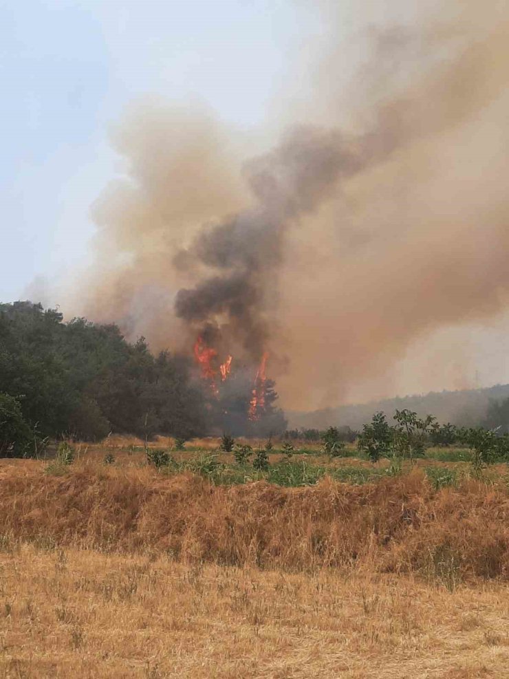 Bilecik’te alevler yeniden yükselmeye başladı