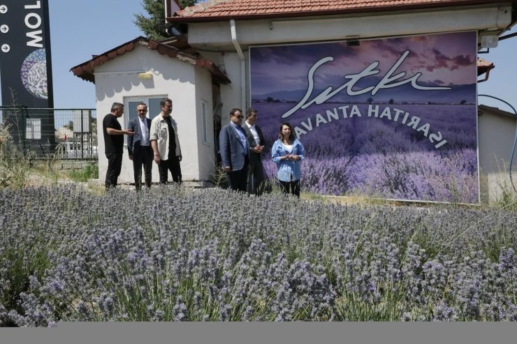 Vali Musa Işın’dan Mutfak Sanatları Müzesi ve Lavanta Bahçesi’ne ziyaret