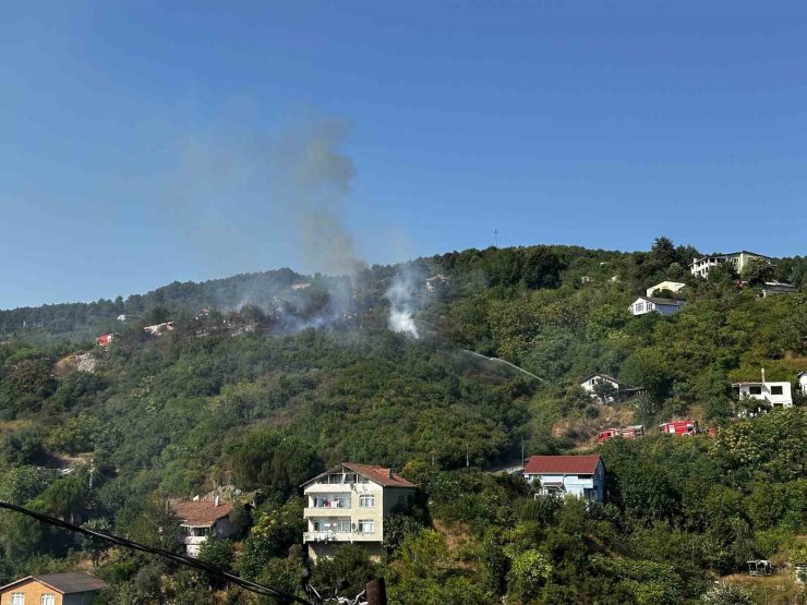 Beykoz’da ormanlık alanda çıkan yangın söndürüldü