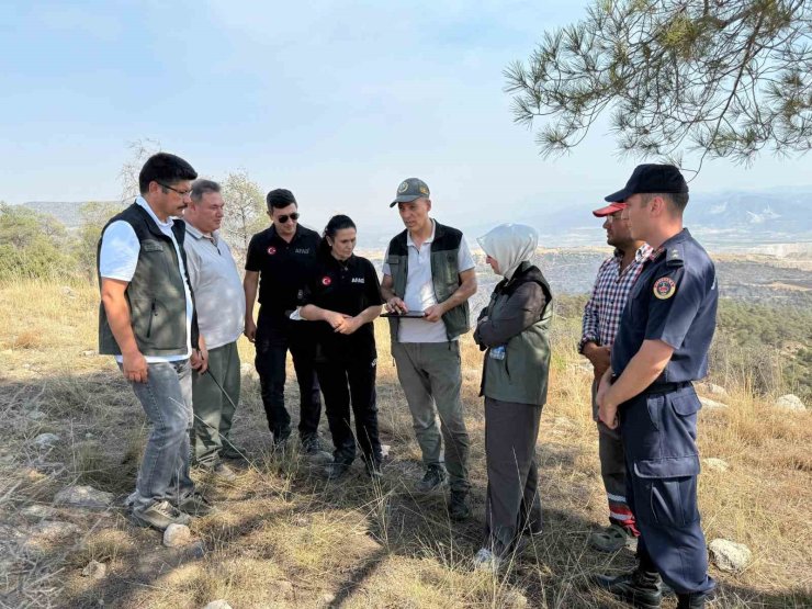 Çal’da çıkan orman yangını söndürüldü