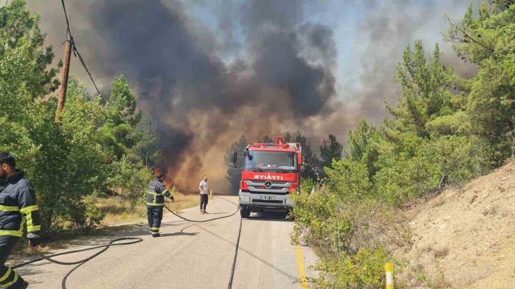 Karabük’te orman yangınında iki mahalle tahliye edildi
