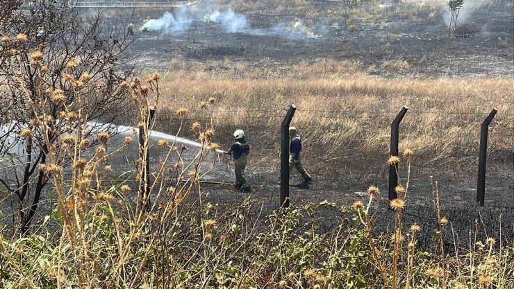 Bahçeşehir’de otluk alan alev alev yandı, yol trafiğe kapatıldı