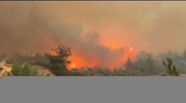 Cepheye gider gibi alevlerin üzerine böyle gittiler