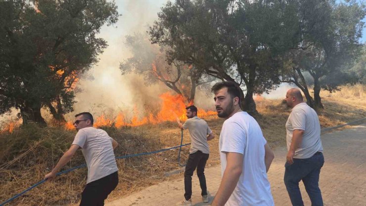 Bursa’da 20 zeytin ağacı yandı: 2 çocuk gözaltında
