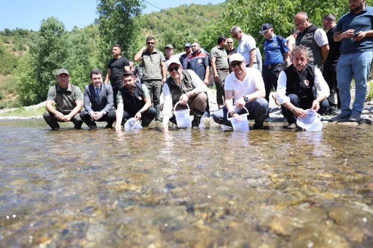 Düzce’de 20 bin benekli alabalık salındı