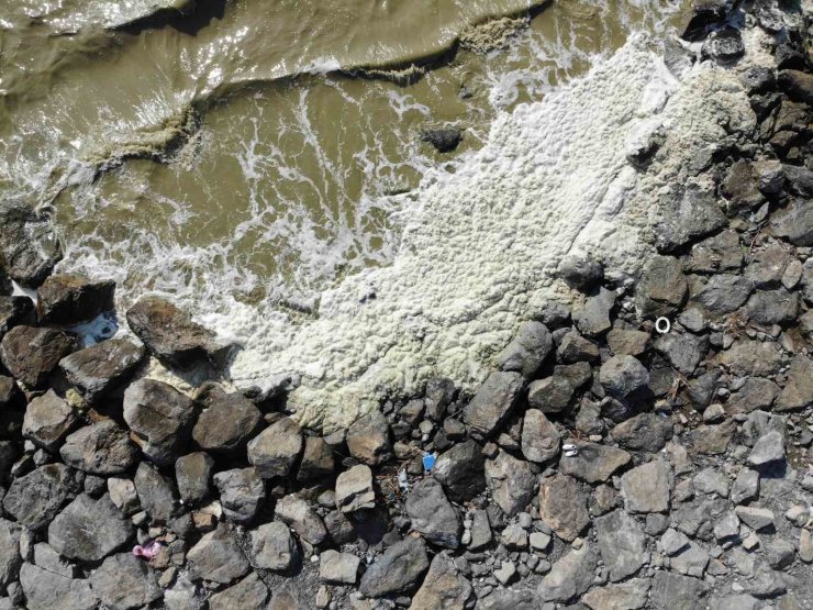 Akdeniz’de suyun yüzeyinde oluşan beyaz tabaka tedirgin etti