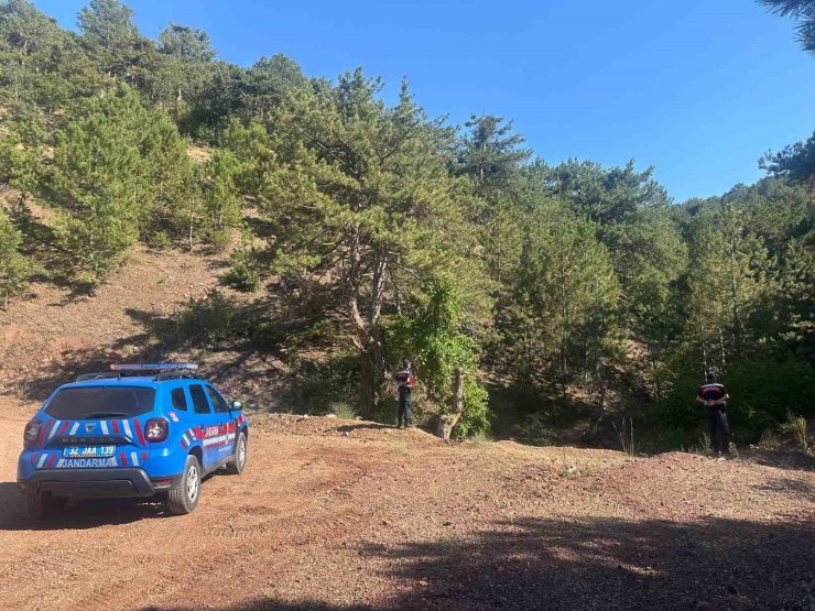 Eğirdir’de ormanlık alanlarda sıkı denetim