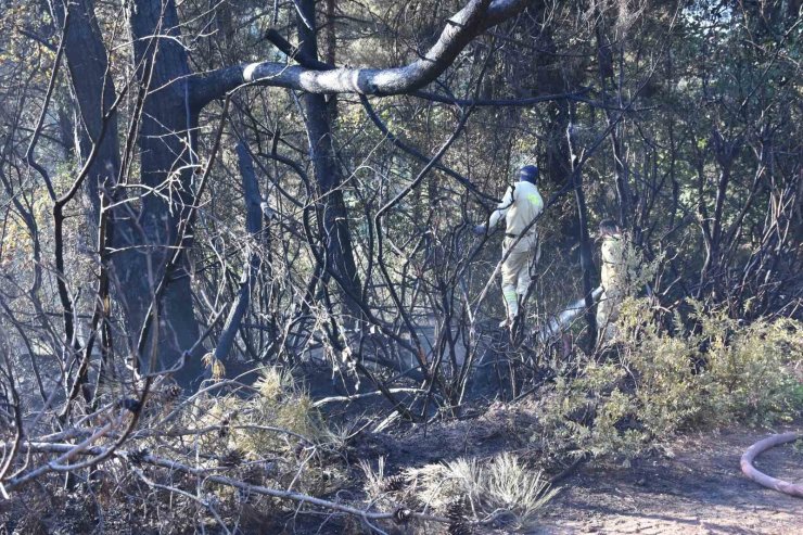 Kemalpaşa’da tırdan ormanlık arana sıçrayan yangın kontrol altında