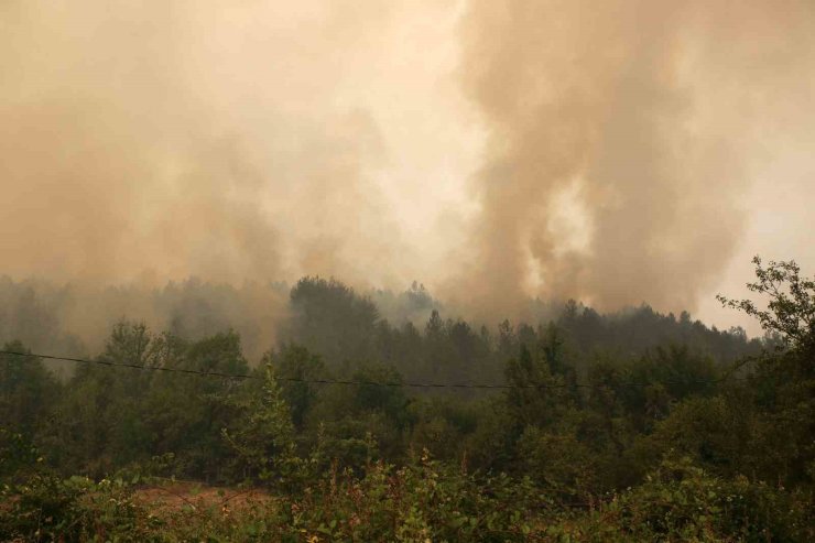Yoğun dumanlar havadan müdahaleyi zorlaştırıyor
