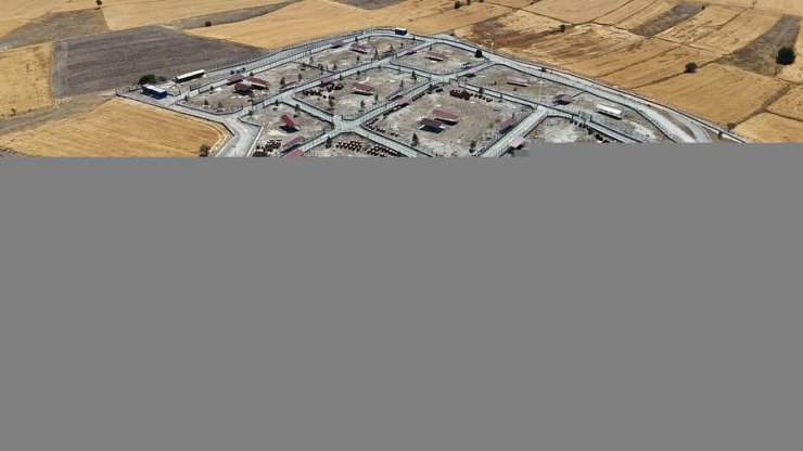 Kütahya’da sahipsiz sokak hayvanlarına doğal yaşam alanı