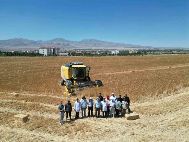 NÖHÜ’de 300 dekar arazide arpa ve buğday hasadı başladı