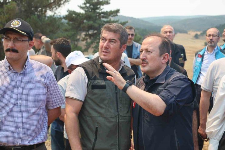 AFAD: "Yangınlara karşı mücadele kapsamında 4 bin 231 personel, 45 hava aracı ve bin 236 kara aracı görev yapmaktadır"