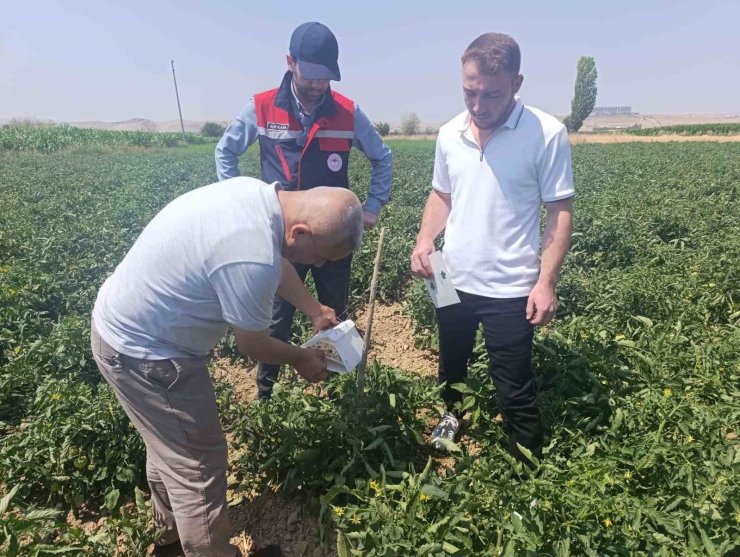 Afyonkarahisar’da bitki sağlığı faaliyetleri devam ediyor