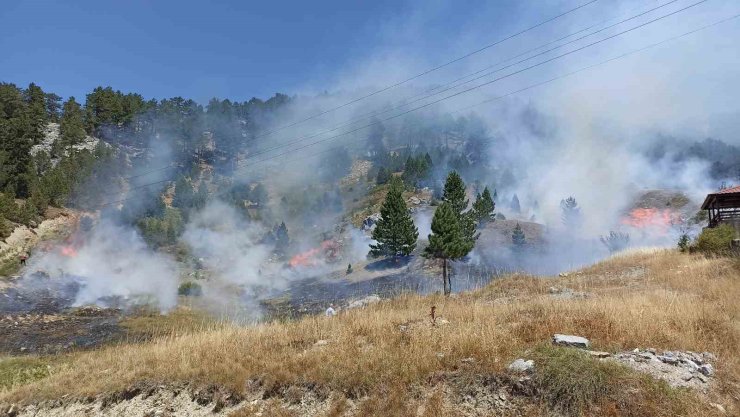 Antalya’da orman yangını
